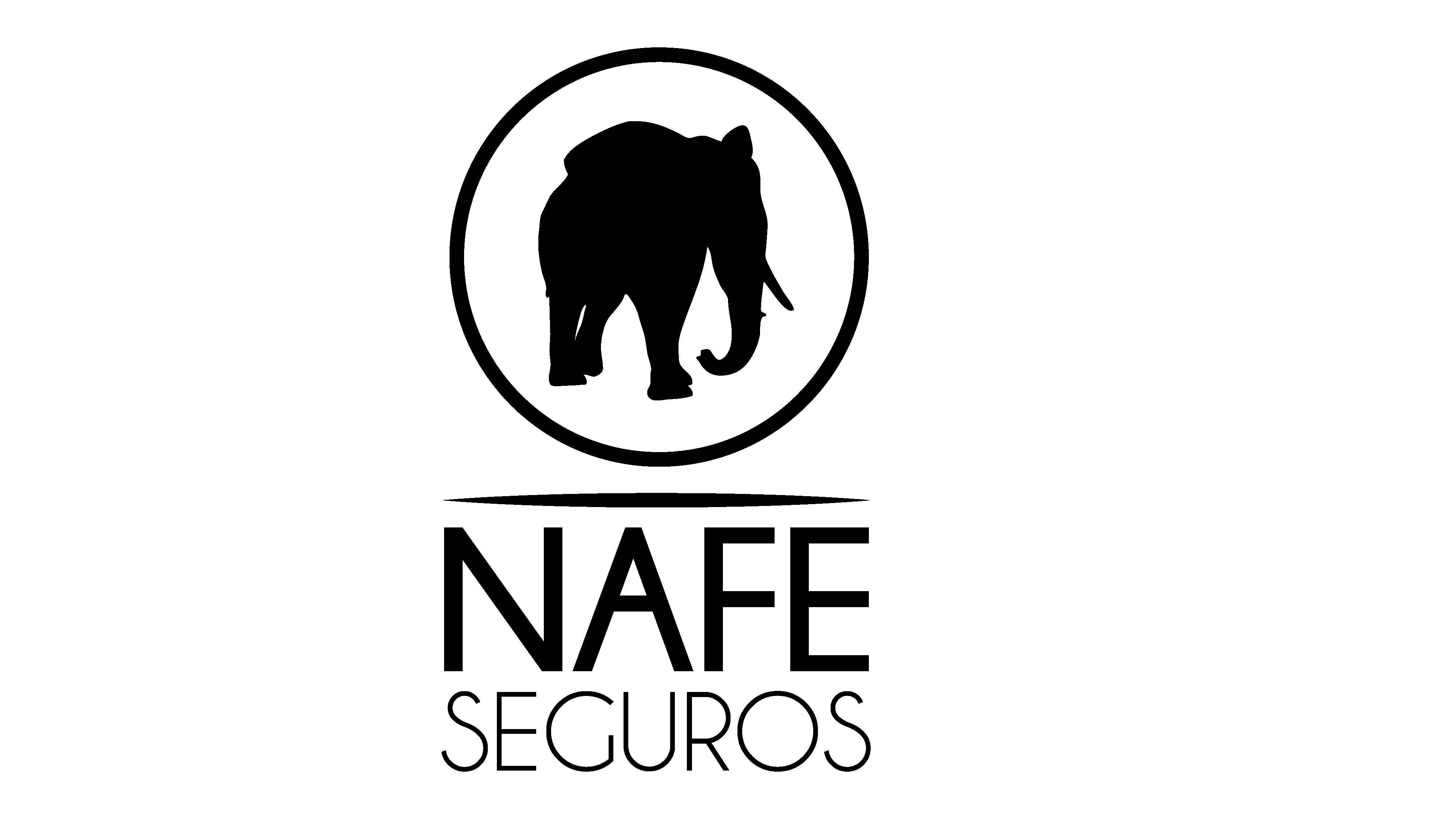 logoNafe logoNafe